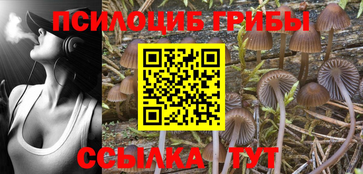 Псилоцибиновые грибы MAGIC MUSHROOMS  Псилоцибиновые грибы Cubensis  Менделеевск  Вход с VPN 