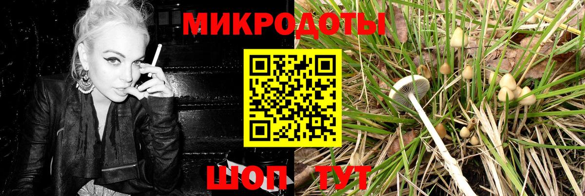 Псилоцибиновые грибы мухоморы Менделеевск